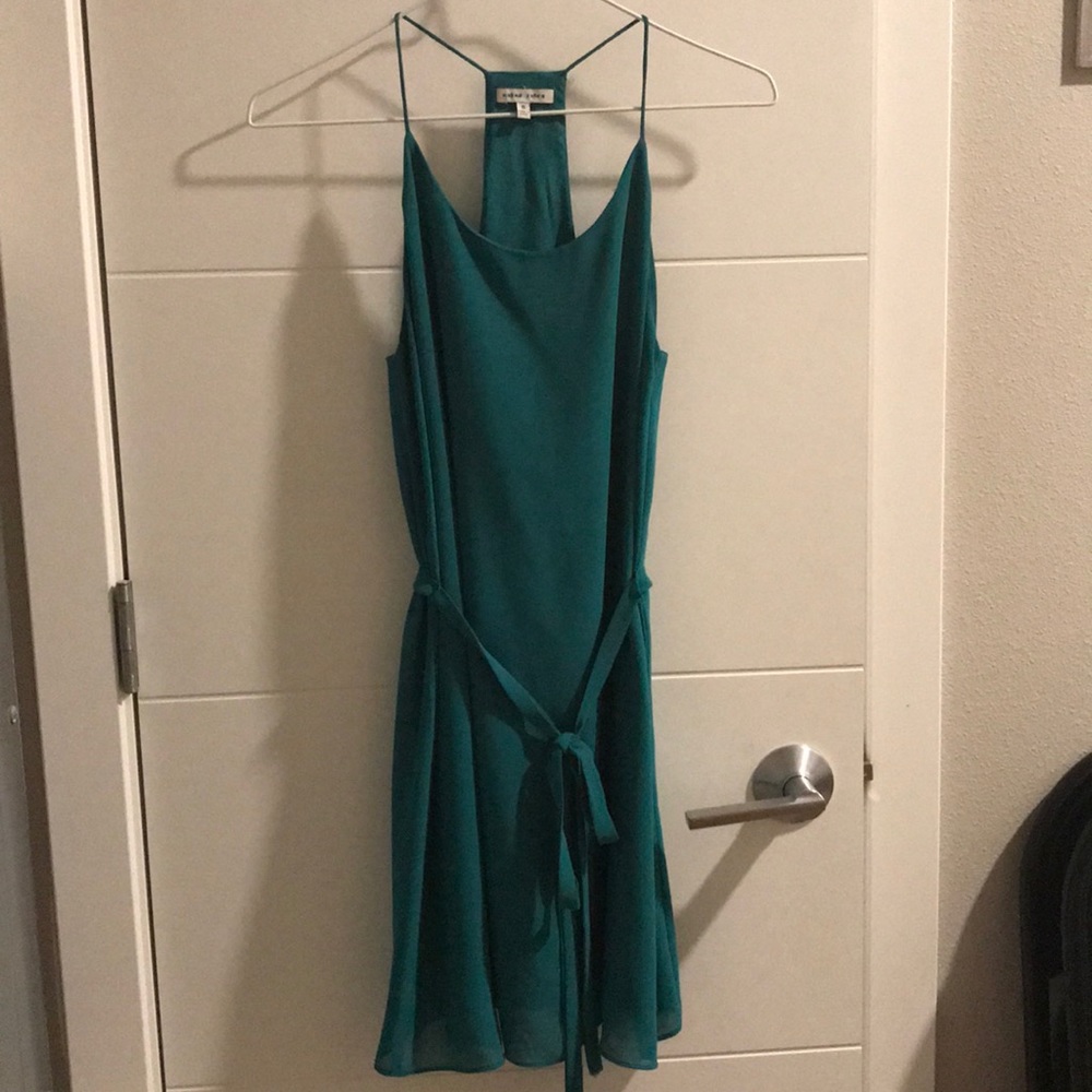 Turquoise Naked Zebra Dress